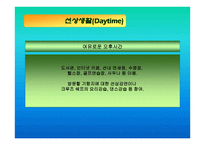 크루즈 산업론 레포트-19