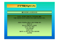 크루즈 산업론 레포트-20