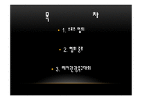 스포츠 협회 기획안 - 종류-2