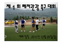 스포츠 협회 기획안 - 종류-6
