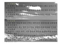 The Strategist 당신은 전략가입니까-15