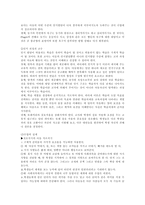 인지발달 이론과 교육에의 적용방법에 관한 보고서 - 인지발달이론, 피아제 이론-4