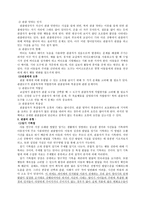 인지발달이론 [아동 연구관찰, 피아제 이론, 인지발달과 인터넷]-4