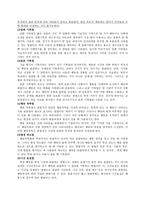 인지발달이론 [아동 연구관찰, 피아제 이론, 인지발달과 인터넷]-5