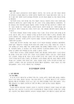 인지발달이론 [아동 연구관찰, 피아제 이론, 인지발달과 인터넷]-9