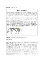 협동심 교육 - 쿨러닝 영화를 활용, 신문기사를 이용, 만화를 이용한 초등도덕 수업-6