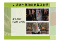 문예부흥기의 아동과 창조성-11