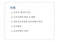보육아동을 위한 아동복지실천-2