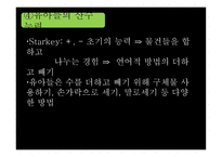 수개념 - 학령전기의 수능력 영유아 수-과학교육이론-13