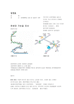 문인생가 답사 보고서 - 윤동주 시비 답사-2