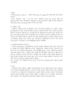 여행계획서 - 이탈리아 로마-3