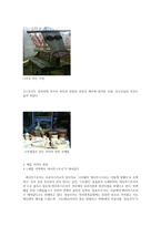 러시아 페름의 민속을 찾아서 - 소개 및 민속 답사 개요, 향토박물관 답사, 백야 축제 중 민속과 관련된 것-9