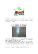 대한민국 과학축전 견학보고서-3