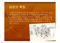 태껸에 대해서 레포트-5