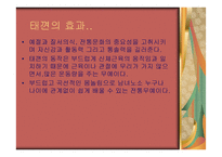태껸에 대해서 레포트-7