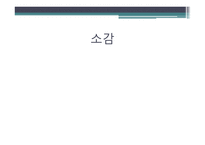 다문화가정 자녀의 학교생활 적응에 관한 연구-18