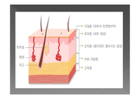 경락으로 다스릴 수 있는 인체와 근육-4