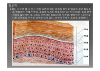 경락으로 다스릴 수 있는 인체와 근육-5
