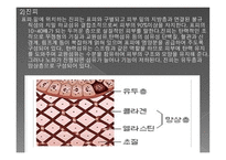 경락으로 다스릴 수 있는 인체와 근육-6