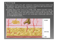 경락으로 다스릴 수 있는 인체와 근육-7