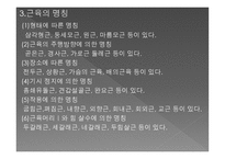 경락으로 다스릴 수 있는 인체와 근육-15
