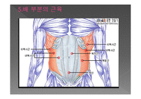 경락으로 다스릴 수 있는 인체와 근육-20