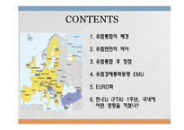 지역통합 사례연구 - EU-2