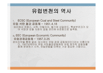 지역통합 사례연구 - EU-4