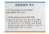 지역통합 사례연구 - EU-5