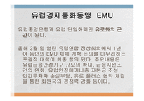 지역통합 사례연구 - EU-7