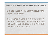 지역통합 사례연구 - EU-11