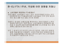 지역통합 사례연구 - EU-13