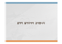 지역통합 사례연구 - EU-14