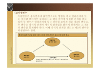 조사문제와 가설-17