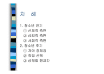 인간행동과 사회환경 - 청소년기-2