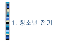 인간행동과 사회환경 - 청소년기-3