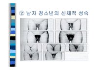 인간행동과 사회환경 - 청소년기-8