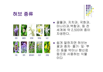 농수산경영전략-2