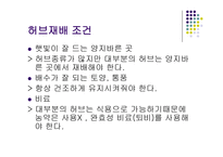 농수산경영전략-4