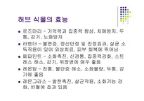농수산경영전략-7