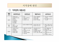 지적장애(Intellectual Disability) - 정의, 인구현황, 원인, 진단과 분류, 종류-10