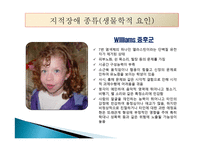 지적장애(Intellectual Disability) - 정의, 인구현황, 원인, 진단과 분류, 종류-17