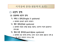 지적장애(Intellectual Disability) - 정의, 인구현황, 원인, 진단과 분류, 종류-19