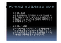 인간 복제 - 인간복제와 게놈 차이점, 기술 종류-7