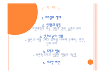 파스칼 발표 보고서-2