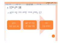 파스칼 발표 보고서-13
