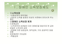 장애인과 소득보장-2