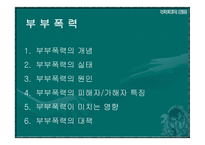 부부폭력 부부폭력 개념-3