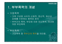 부부폭력 부부폭력 개념-4