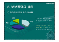 부부폭력 부부폭력 개념-8
